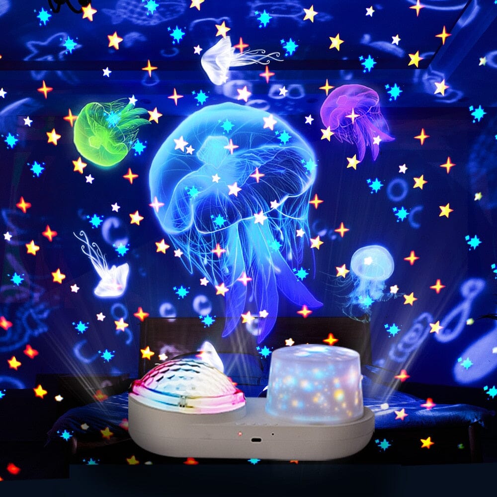 Ocean Wonder Projector