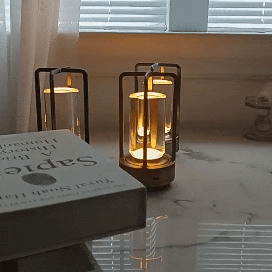 (ALMOST SOLD OUT) LED Crystal Metal Night Light