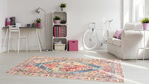 Multi colored Oriental Rug