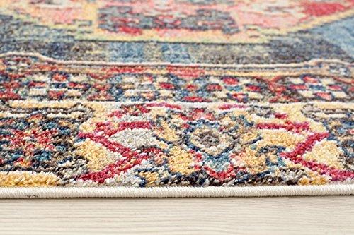 Multi colored Oriental Rug