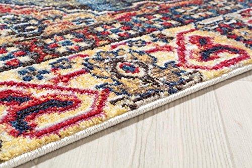 Multi colored Oriental Rug