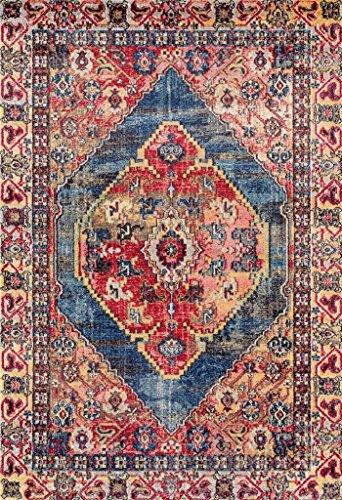 Multi colored Oriental Rug