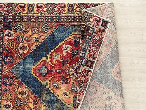 Multi colored Oriental Rug