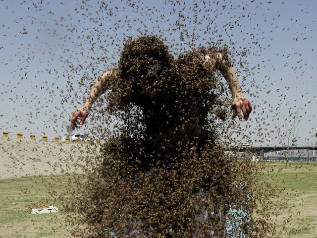 5 Unique and Strange Addictions