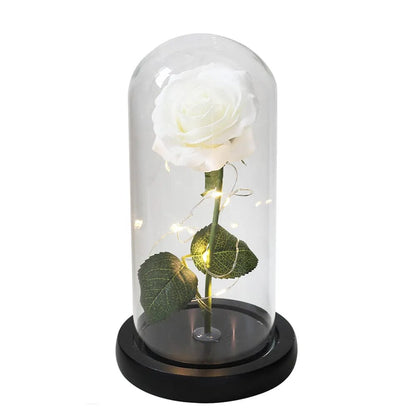 (ALMOST SOLD OUT) 24K Gold Plated ENCHANTED FOREVER ROSE With LED