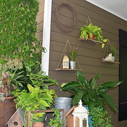 Handcrafter Hanging Swing Rope Floating Shelves, Set of 3